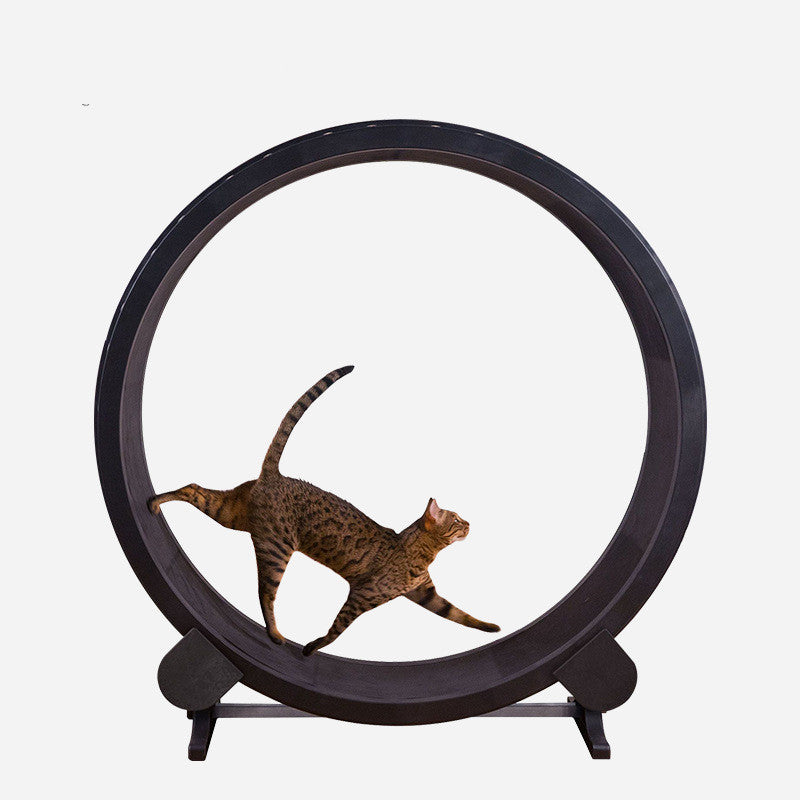 Cat Running Wheel Fitness Toy