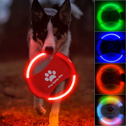 Interactive LED Dog Flying Discs