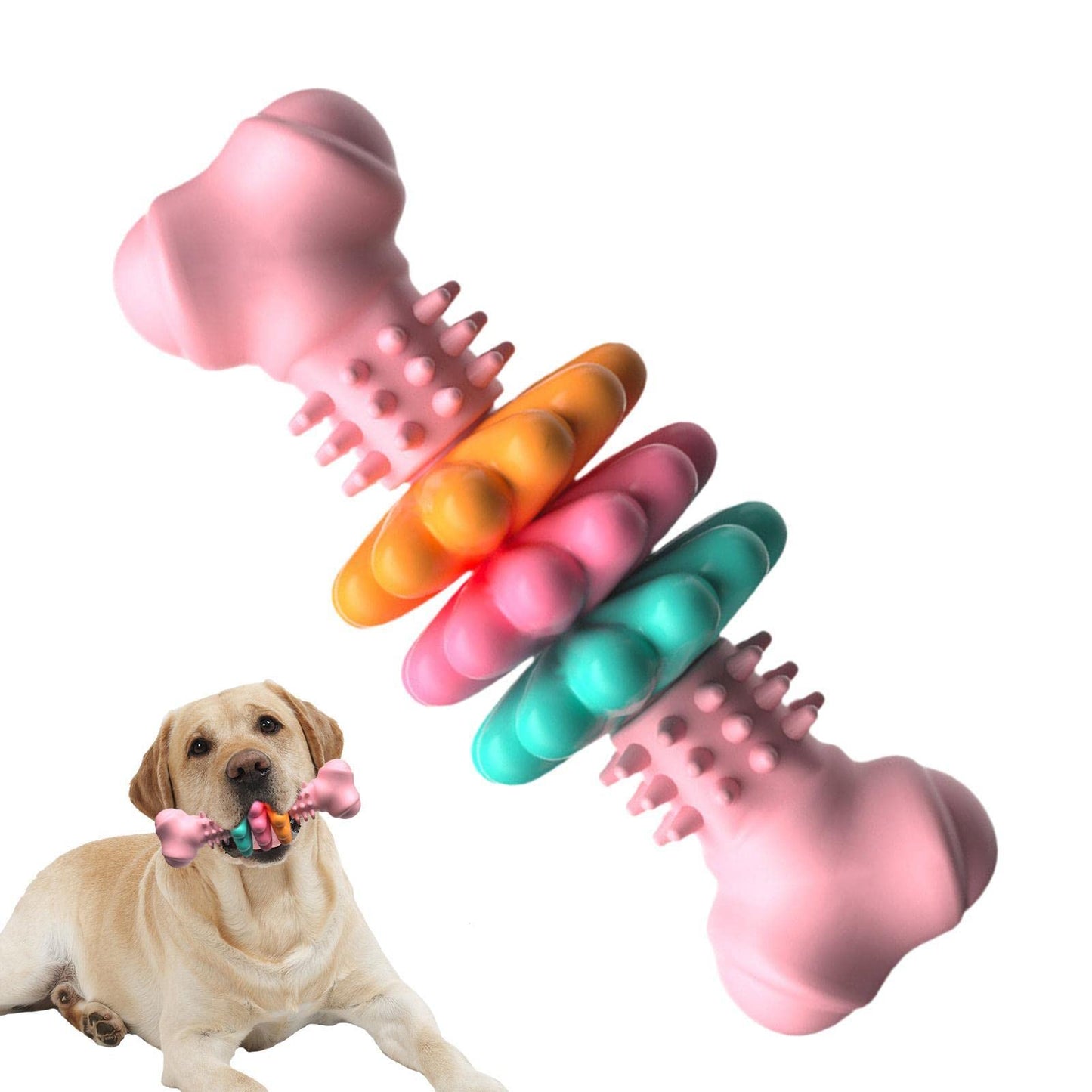 Dog Chew Toy Bone - Teeth Cleaning & Indestructible TPR