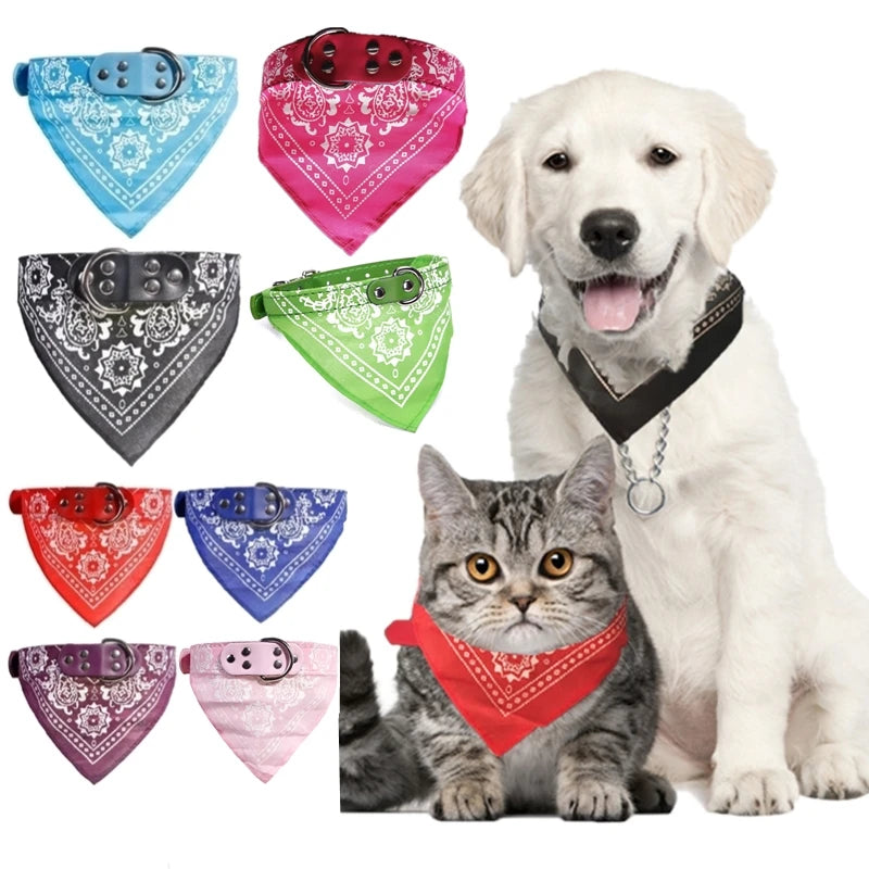 Cute Adjustable Pet Collar with Print Scarf