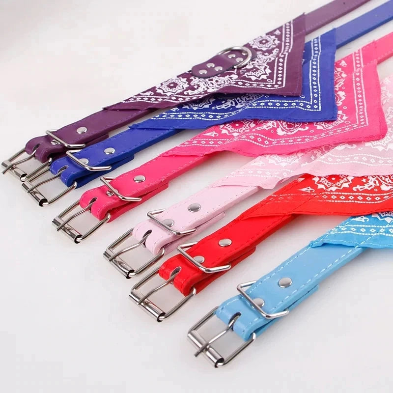 Cute Adjustable Pet Collar with Print Scarf