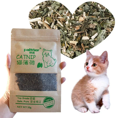 Catnip Organic Clean Teeth Menthol Flavor