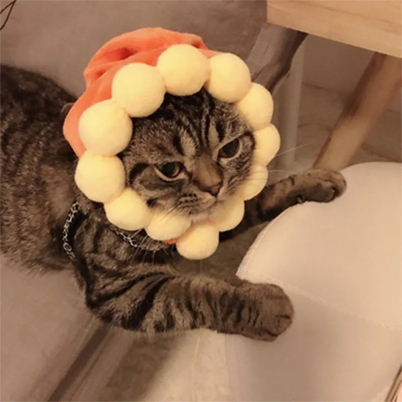 Chinese Style Pet Funny Hat