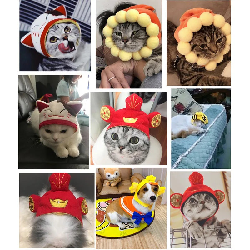 Chinese Style Pet Funny Hat