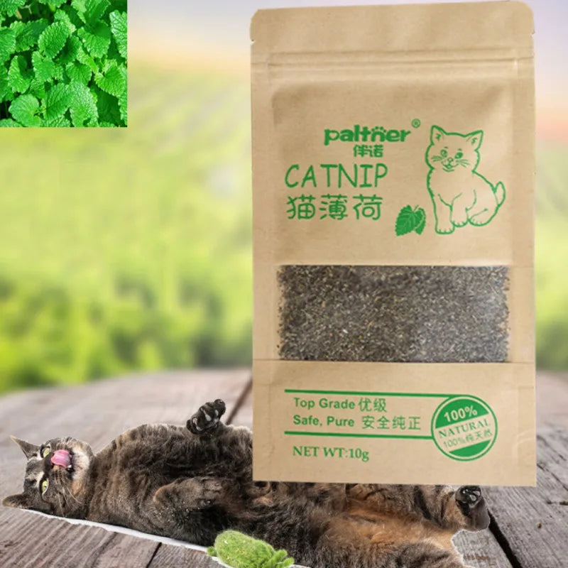 Catnip Organic Clean Teeth Menthol Flavor