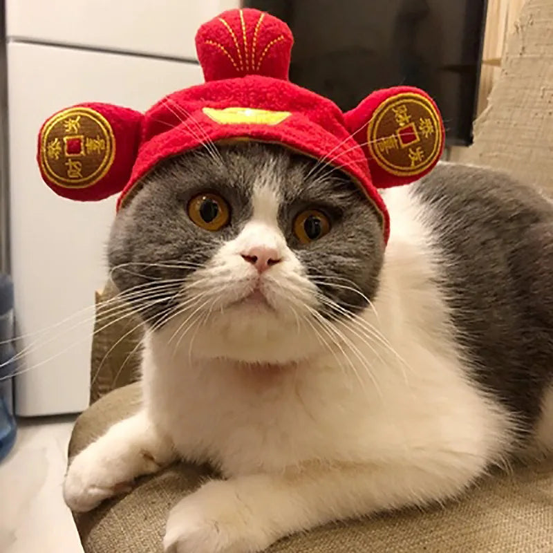 Chinese Style Pet Funny Hat