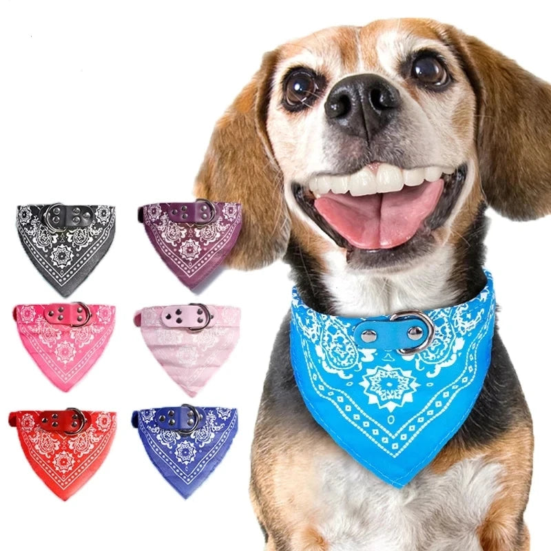 Cute Adjustable Pet Collar with Print Scarf