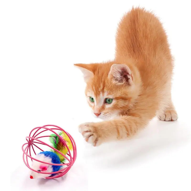 Interactive Cat Mouse Toy