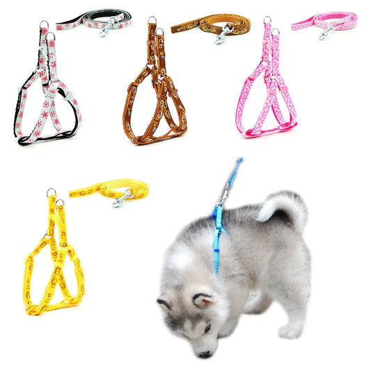 Adjustable Pet Harness and Leash Set