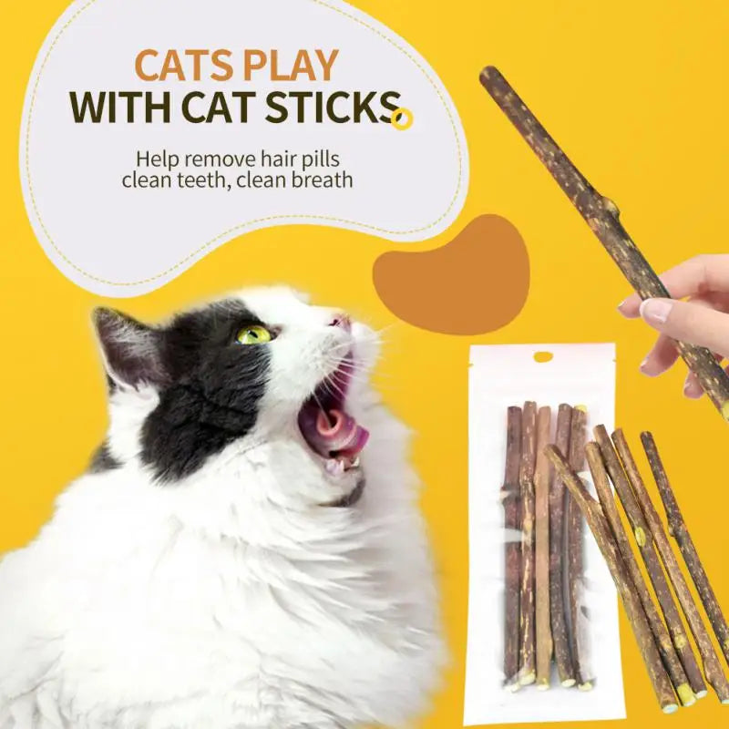 Natural Cat Mint Sticks - Kittens' Favorite Dental Chew Toys