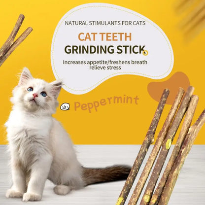 Natural Cat Mint Sticks - Kittens' Favorite Dental Chew Toys