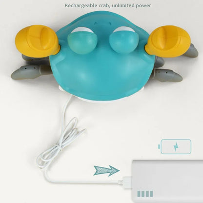 Interactive Rechargeable Dog Toy