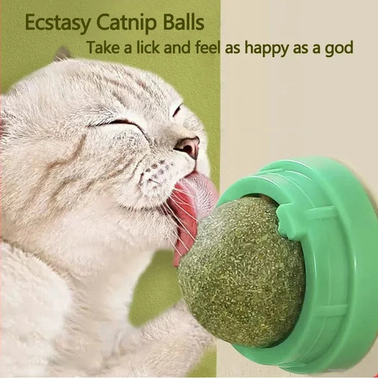 Catnip Scratching Post & Ball Toy