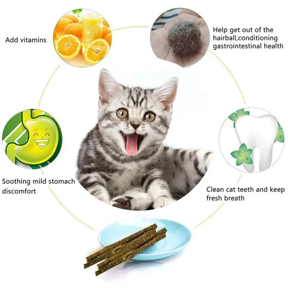 Pet Cat Molar Sticks Natural Mint Sticks Bite-resistant Chews Toys Pet Products For Relieve Anxiety