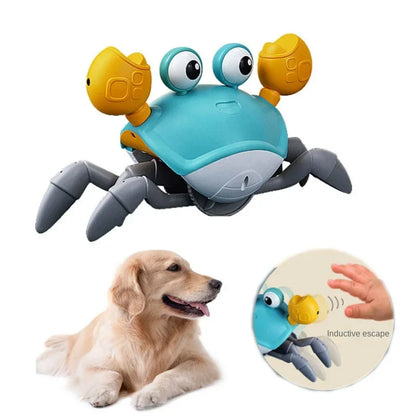 Interactive Rechargeable Dog Toy