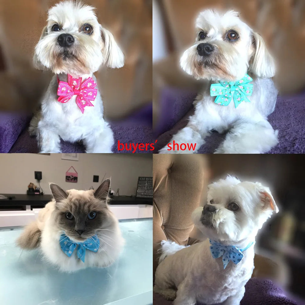 60pcs Spring Pet Puppy Dog Accessories Pet Dog Bow Tie Flower Bowknot Dog Bowtie Collar Pet Dog Grooming  Products for Small Dog