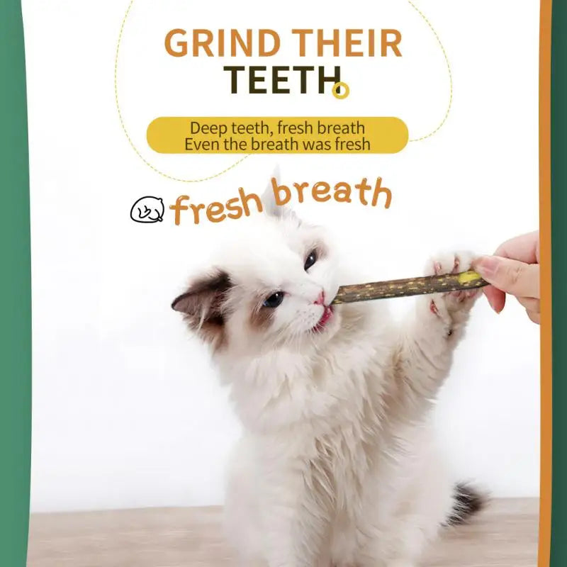 Natural Cat Mint Sticks - Kittens' Favorite Dental Chew Toys