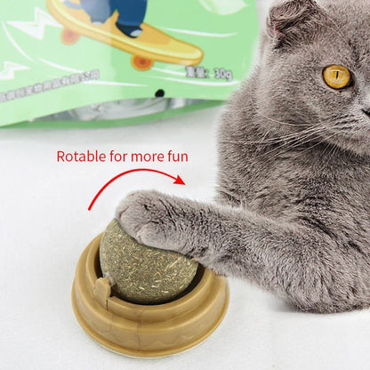 Catnip Scratching Post & Ball Toy