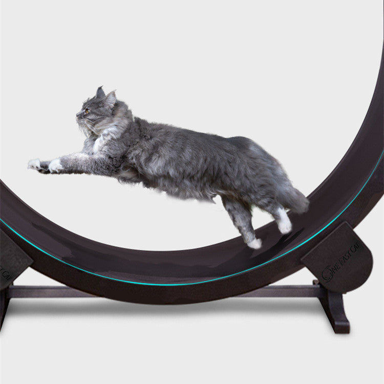 Cat Running Wheel Fitness Toy