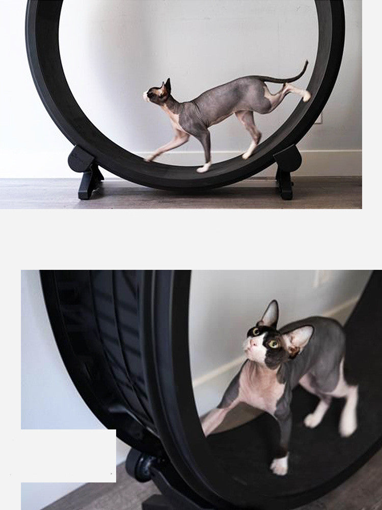 Cat Running Wheel Fitness Toy