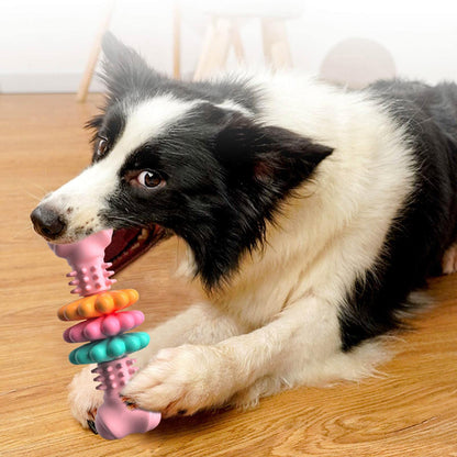 Dog Chew Toy Bone - Teeth Cleaning & Indestructible TPR